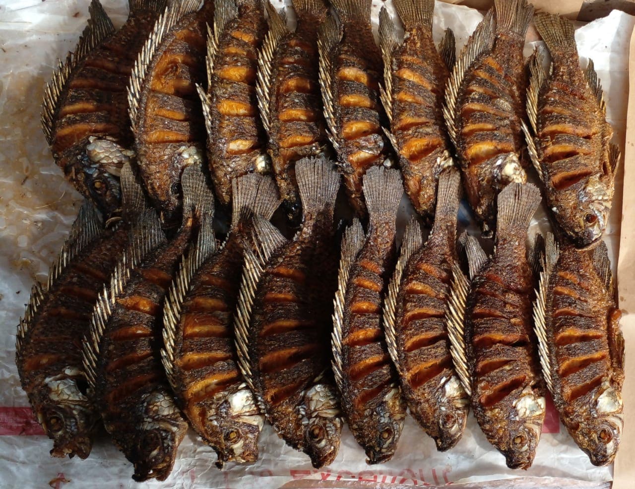 Nyanam Fisheries